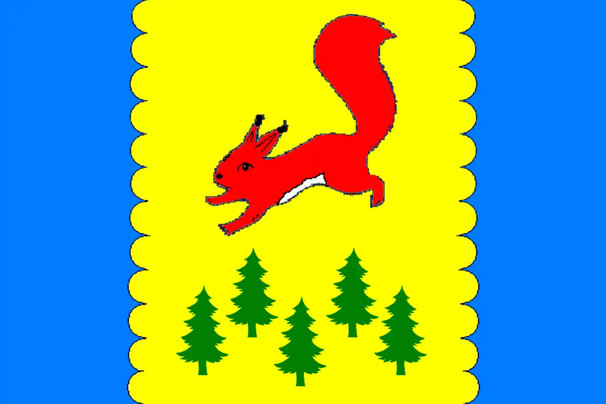Флаг: Пировский округ